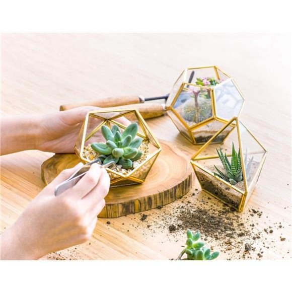 Artificial Succulent in 3 Pack Mini Glass Geometric Terrarium, Miniature Potted - Picture 4 of 6
